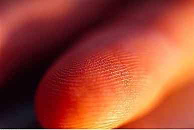 城市建设游戏新作《企鹅联合王国》2024年发售